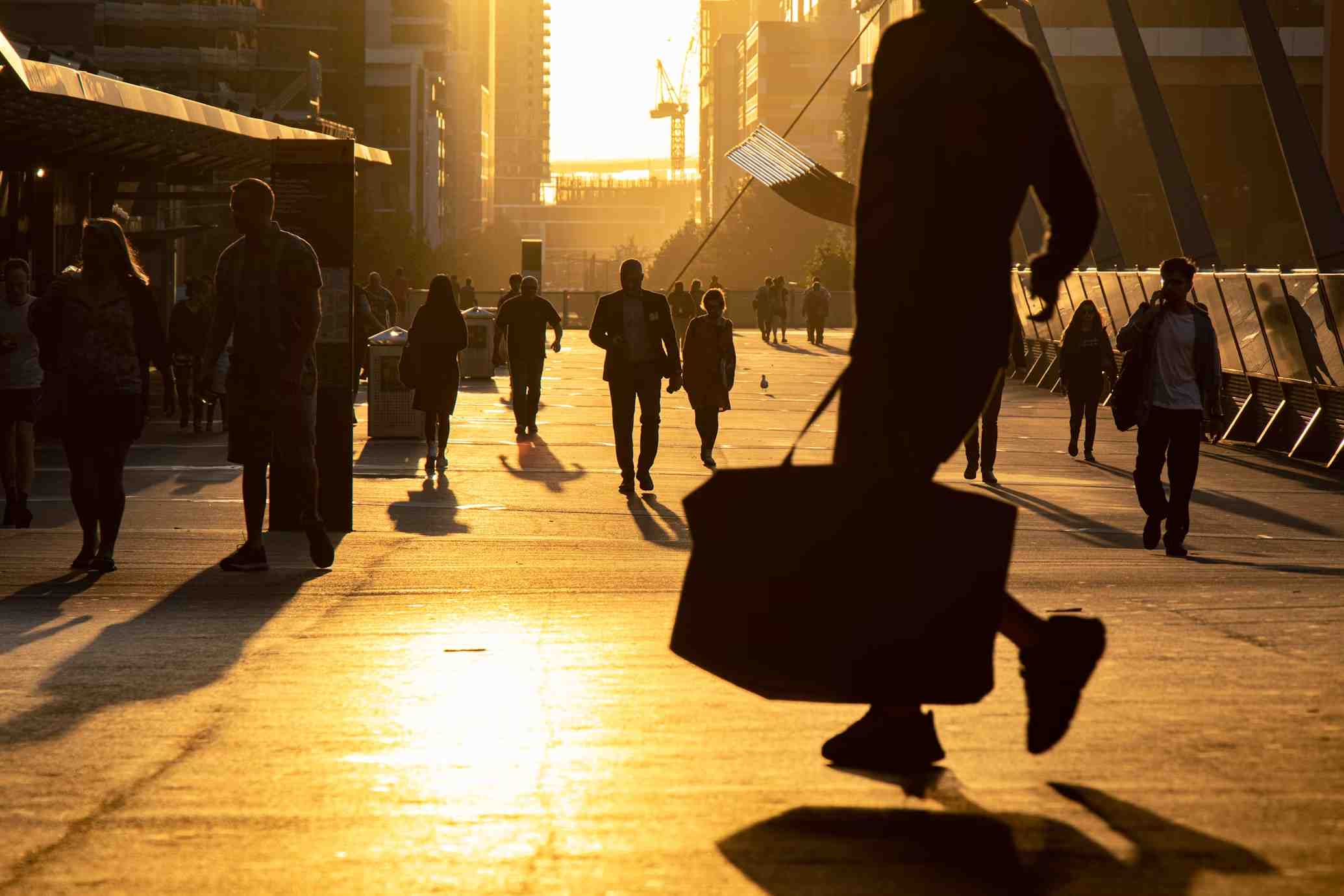 What is Travel Management Software?